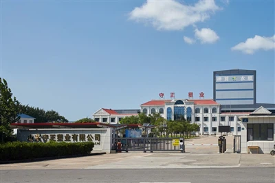 Shandong Shouzheng Plastic Film: su socio de confianza para películas de alta...
